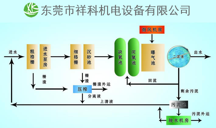 中美排球直播