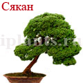 Сякан