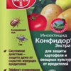 Конфидор