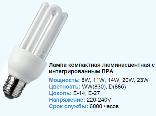 освещение кактусов