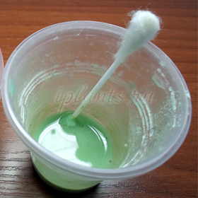 посев мурайи метельчатой посев мурайи