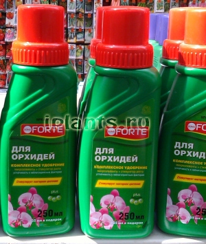 подкормка фаленопсиса