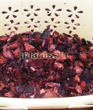 кора для орхидей