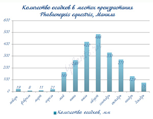 условия для фаленопсиса