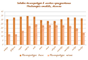 условия для фаленопсиса