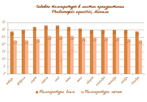 условия для фаленопсиса